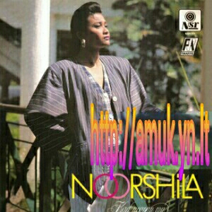 Download Noorshila Amin - Aku Sudah Jatuh Cinta.mp3