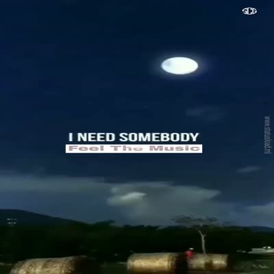 i need somebody 