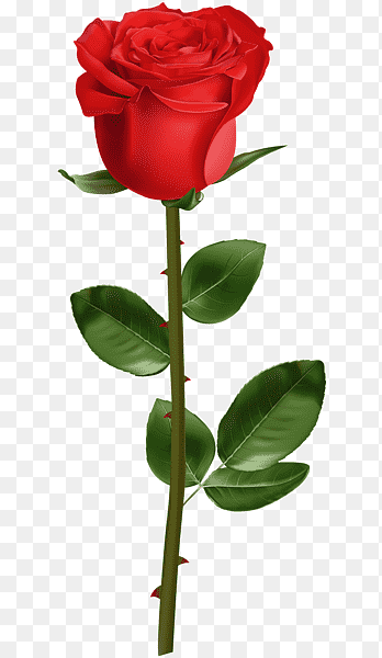 clipart rose