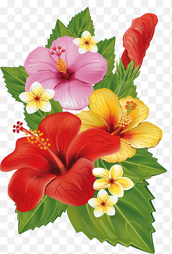 tropical flower