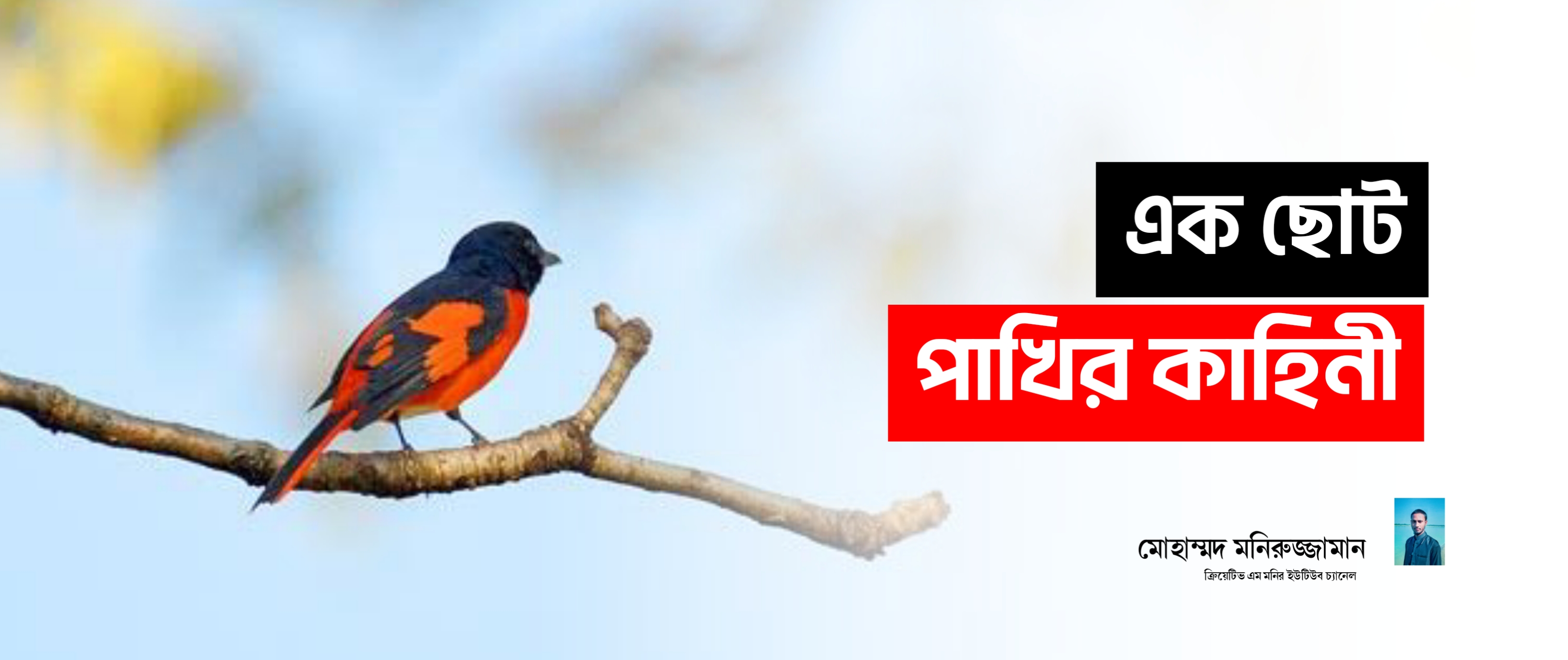 

এক ছোট