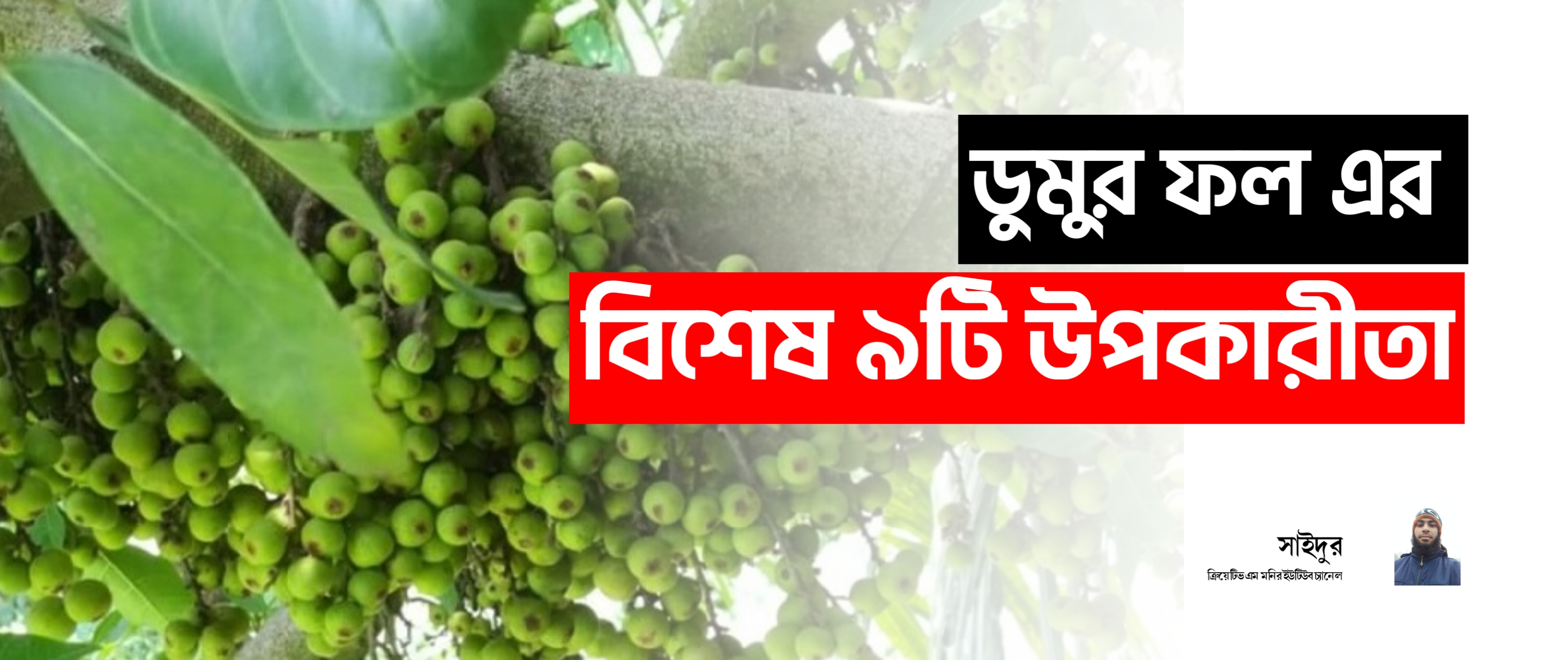 
ডুমুর - 